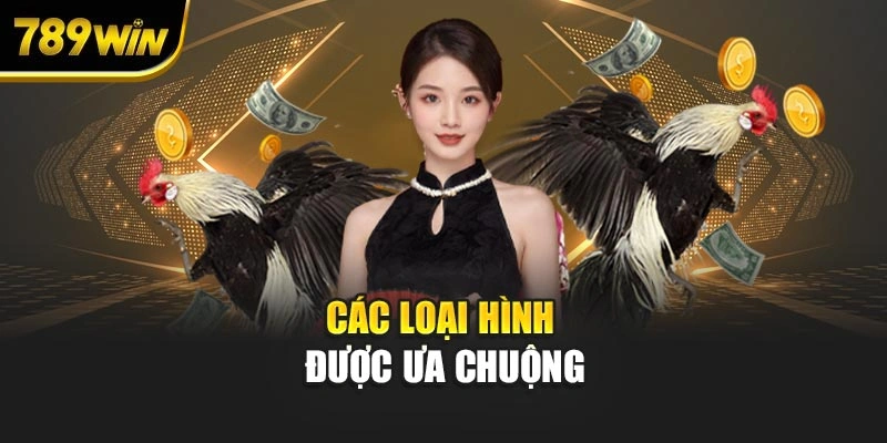Các loại hình được ưa chuộng