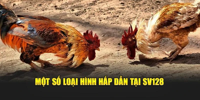 Một số loại hình hấp dẫn tại SV128