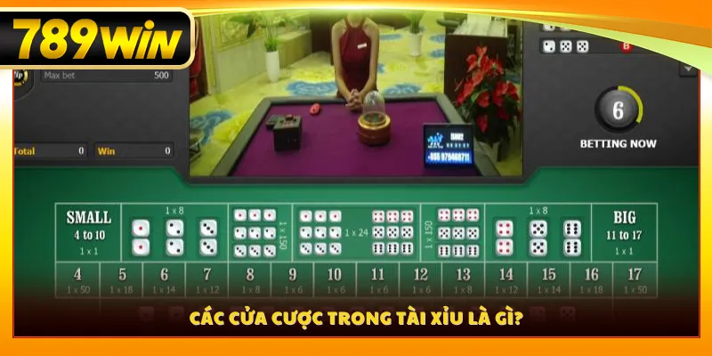 Các cửa cược trong tài xỉu là gì?