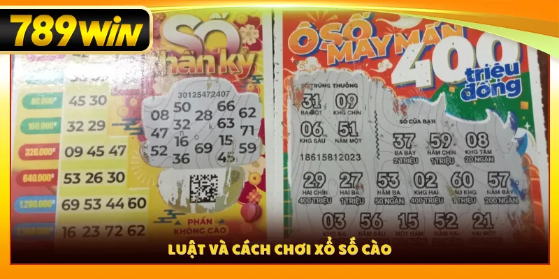 Luật và cách chơi xổ số cào