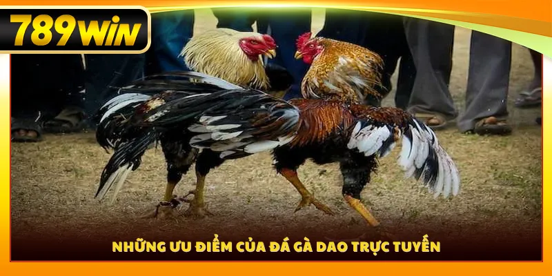 Những ưu điểm của đá gà dao trực tuyến